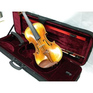 Artist 500 Series Concert Violin, Case and Accessory Package Today $