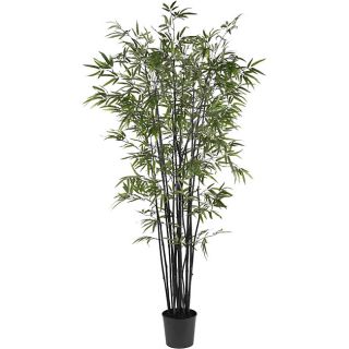 Bamboo 6.5 foot Silk Tree Today $180.99 3.7 (3 reviews)