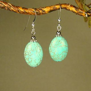 Jewelry by Dawn Oval Turquoise Magnesite Earrings