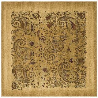 Safavieh Oval, Square, & Round Area Rugs from: Buy
